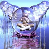 IM HAVIN DOGE IM HAVIN BUXXX