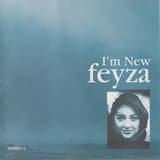 A Day in the Life of a Fool