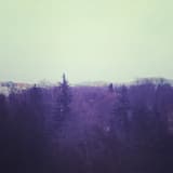 Alone At The Danube River