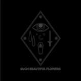 Purest Light / Blackest Curse