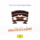 Violin Concerto in D major, op. 77: III. Allegro giocoso, ma non troppo vivace - Poco più presto