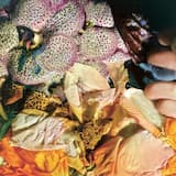 Unnamed and Uninvited