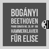 Sonata for Piano no. 29 in B-flat major, op. 106 “Hammerklavier”: IV. Largo - Allegro risoluto. Fuga a tre voci