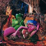 Large Magellanic Cloud