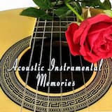 Playin' the Fool (acoustic instrumental version)