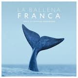 Le Mystère infini de l’Univers