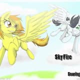 Sky Fire