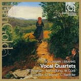 Liebesliederwalzer, Op. 52: XVI. Ein dunkeler Schacht ist Liebe