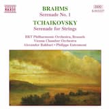Serenade for Strings in C major, op. 48: III. Élégie