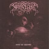 This Entire Fucking Battlefield