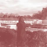 Zemiya Savage Glitter