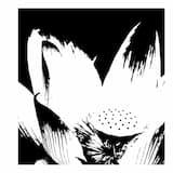 A Selection of Towels