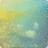 Barrskog svept i moln