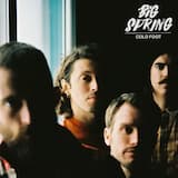 Buzzards Leave the Bones