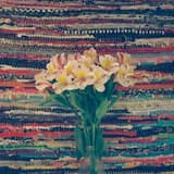 Happy Active Horse Organ